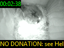 00:02:38