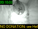 00:10:03
