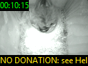 00:10:15