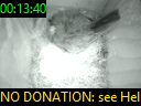 00:13:40