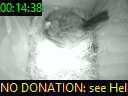 00:14:38