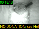 00:18:13