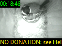 00:18:46