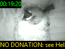 00:19:20