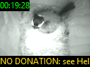 00:19:28