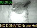00:20:06
