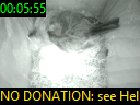 00:05:55