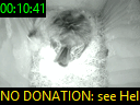 00:10:41
