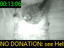 00:13:06
