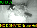 00:13:39