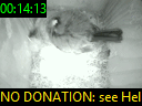 00:14:13