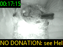 00:17:15