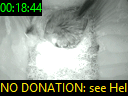00:18:44
