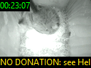 00:23:07