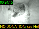 00:24:15