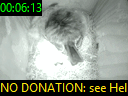 00:06:13