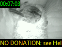 00:07:03