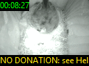00:08:27