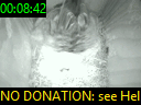 00:08:42