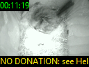 00:11:19