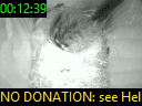 00:12:39