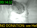 00:14:32