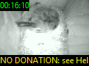 00:16:10