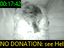 00:17:42