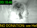 00:18:46