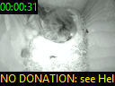 00:00:31