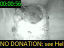 00:00:56