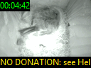 00:04:42
