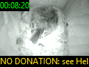 00:08:20