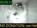 00:08:53