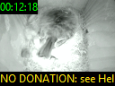 00:12:18