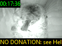 00:17:36