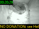 00:20:29