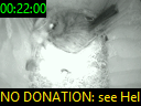 00:22:00