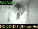 00:07:39