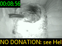 00:08:56