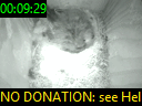 00:09:29
