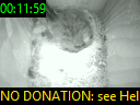 00:11:59