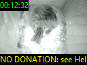 00:12:32