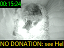00:15:24