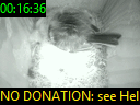 00:16:36