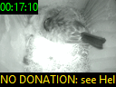 00:17:10