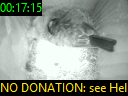 00:17:15