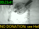 00:23:41