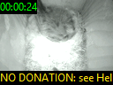 00:00:24