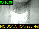 00:10:08